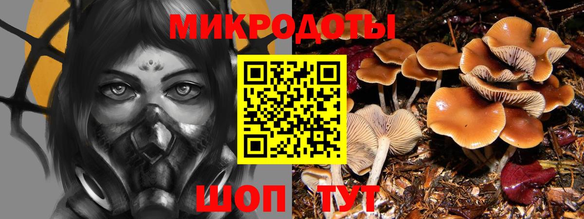 Псилоцибиновые грибы GOLDEN TEACHER Шебекино