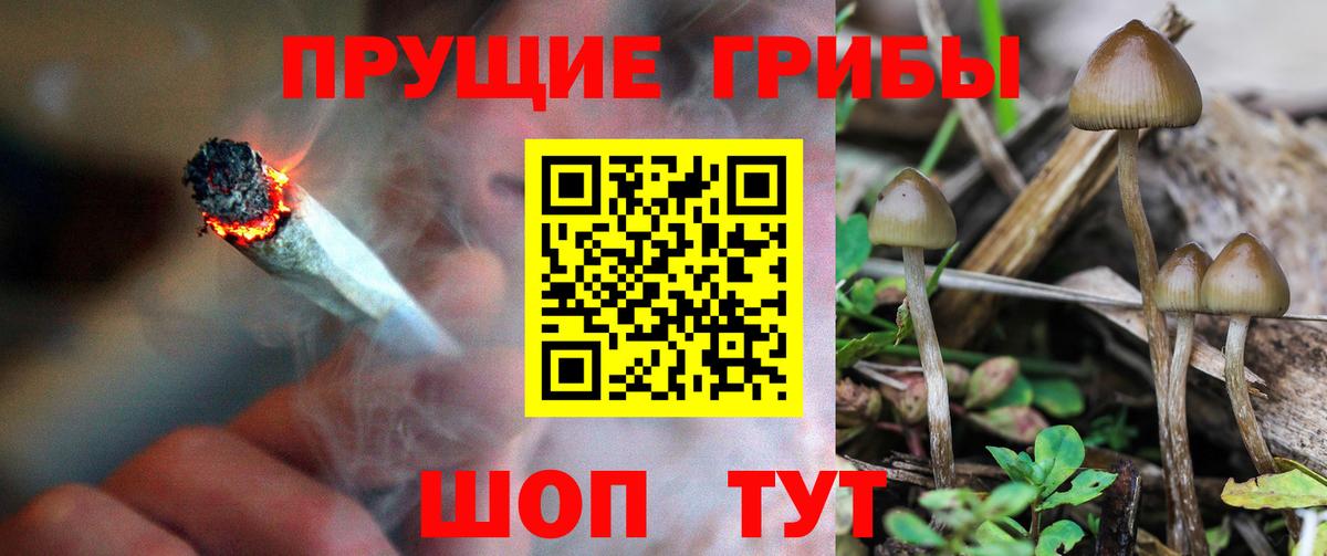 Шебекино  КОКАИН  Вход с VPN  ГАШ  ГАШИШ  МАРИХУАНА  Меф МЯУ МЯУ   A PVP СК  